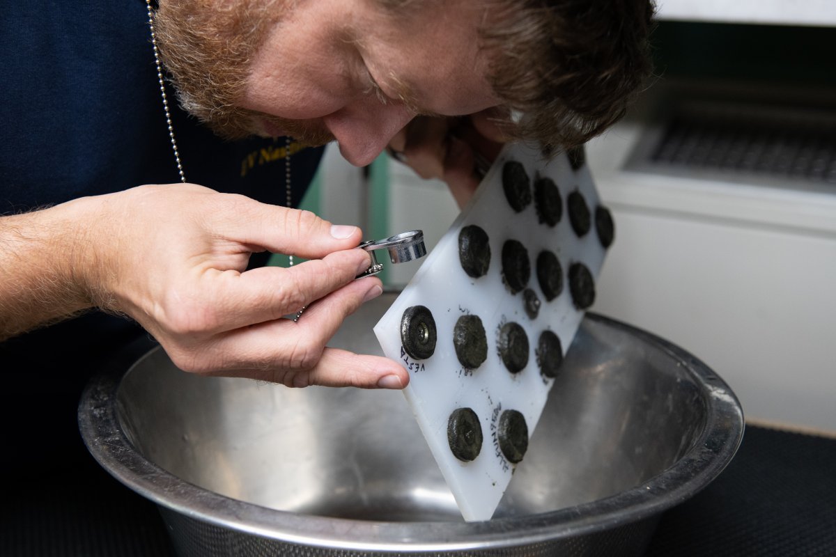 Research Ship May Have Found Rare Meteorite Fragments in the Ocean Research Ship May Have Found Rare Meteorite Fragments in the Ocean