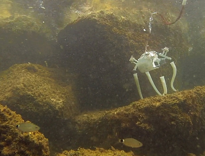 This Octopus-Inspired Robot Can Swim, Grasp Objects and Crawl Around This Octopus-Inspired Robot Can Swim, Grasp Objects and Crawl Around