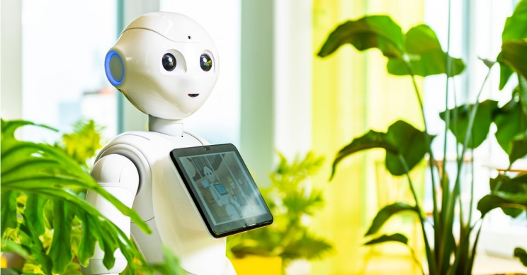 A Look at the Most Used Terminology Around Artificial Intelligence