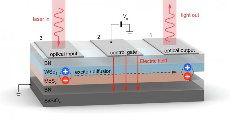 Excitons New Properties Discovered Excitons New Properties Discovered