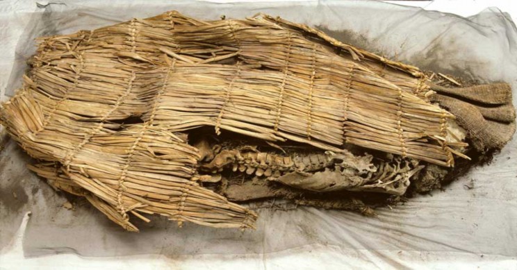 New Theory Reveals Who First Migrated Across the Americas New Theory Reveals Who First Migrated Across the Americas