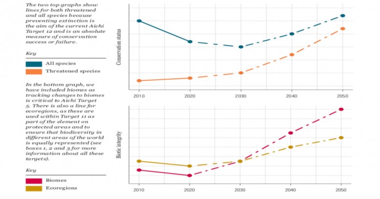 WWF Report on the Impact of Human Activity on Millions of Animals Species WWF Report on the Impact of Human Activity on Millions of Animals Species