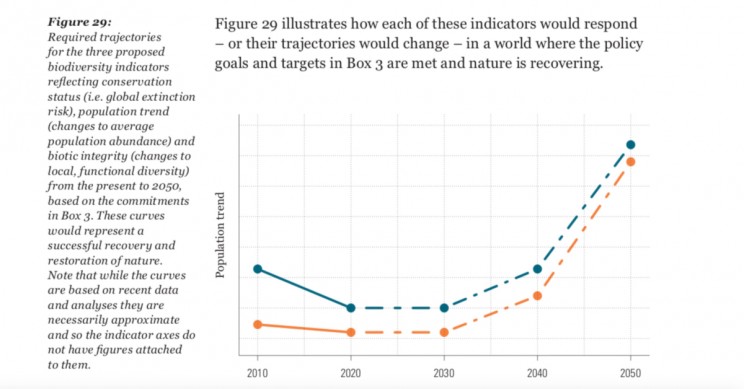 WWF Report on the Impact of Human Activity on Millions of Animals Species WWF Report on the Impact of Human Activity on Millions of Animals Species