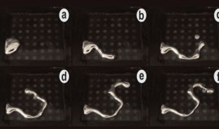 Shape Shifting Liquid Metal Could Revolutionize Robotics Shape Shifting Liquid Metal Could Revolutionize Robotics