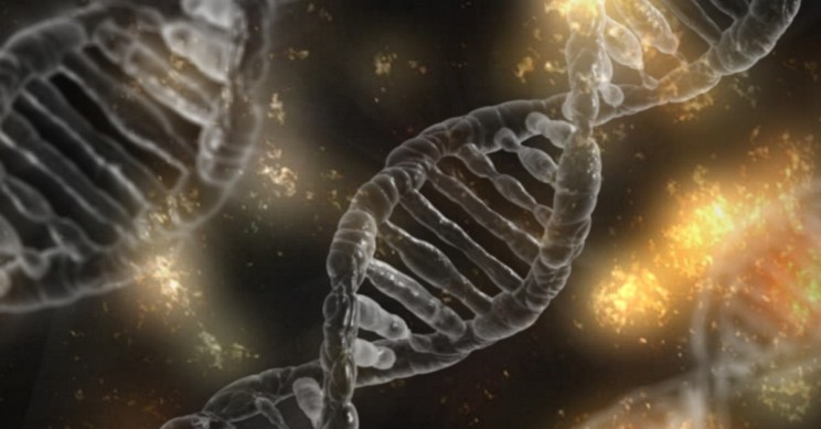 Addressing Common Misconceptions About DNA Test Kits