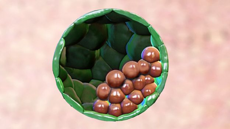 11 of the Most Exciting Stem Cell Research and Studies Set to Revolutionize Healthcare 11 of the Most Exciting Stem Cell Research and Studies Set to Revolutionize Healthcare