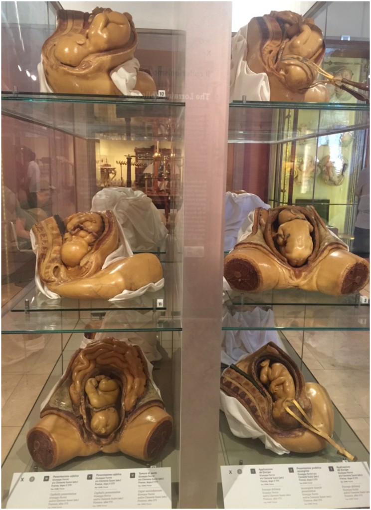 fetes presentation at Museo Galileo ©SusanFourtane