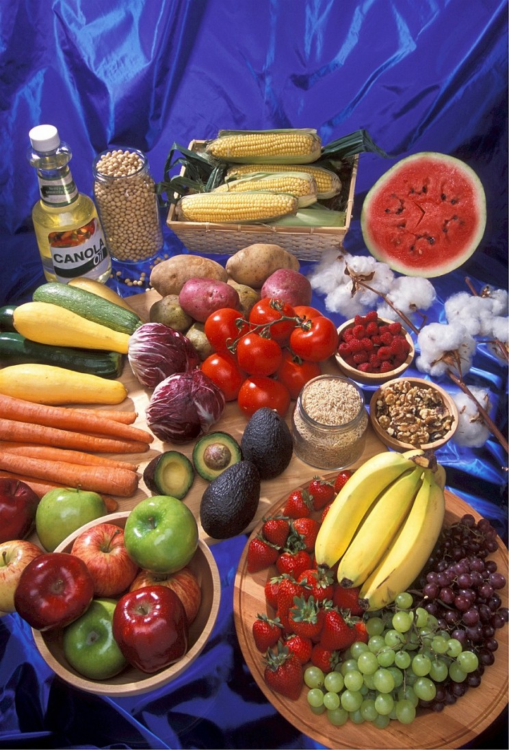 GMO myths nutrition