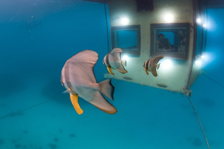5 Unbelievable Underwater Hotels and the Engineering That Made Them Possible 5 Unbelievable Underwater Hotels and the Engineering That Made Them Possible