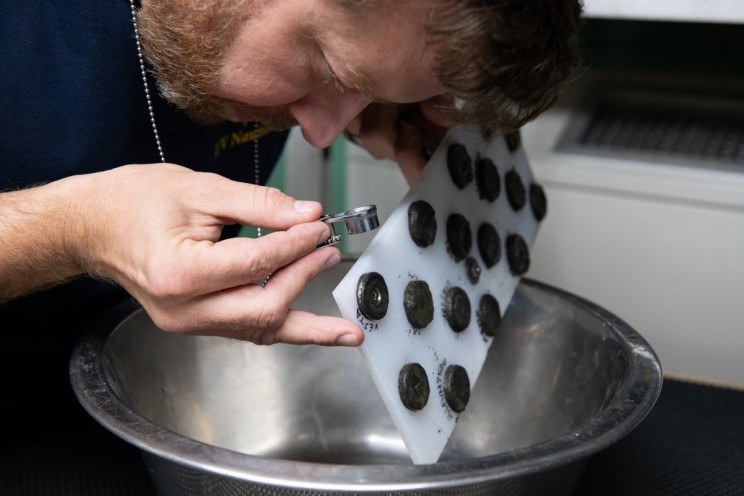 Research Ship May Have Found Rare Meteorite Fragments in the Ocean