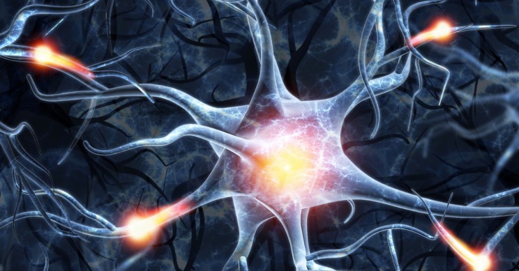 what is consciousness neuron
