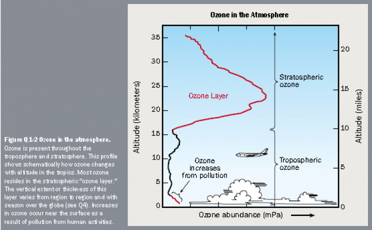 ozone layer