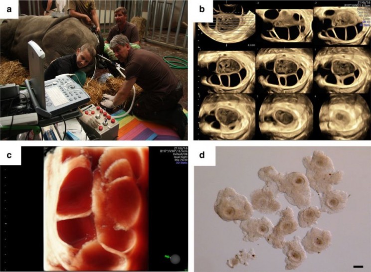 11 of the Most Exciting Stem Cell Research and Studies Set to Revolutionize Healthcare 11 of the Most Exciting Stem Cell Research and Studies Set to Revolutionize Healthcare