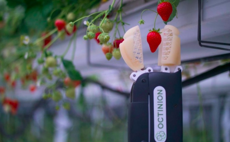 This Belgian Robot Could be the Future of Picking Supermarket Strawberries