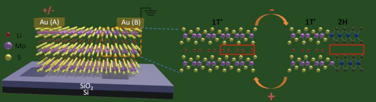 Scientists Develop Memristor Which More Effectively Mimics Synapses