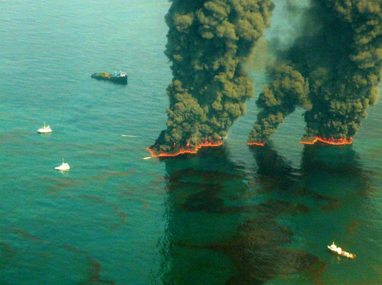 Oil-Eating Bacteria Cleansed Gulf of Mexico