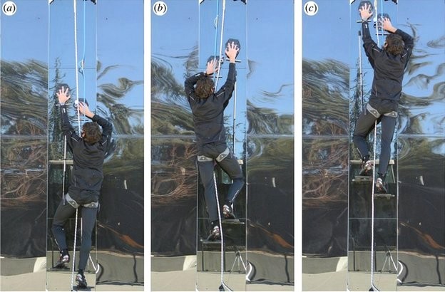 Watch scientist climb the wall like Spider-man in gecko inspired gloves