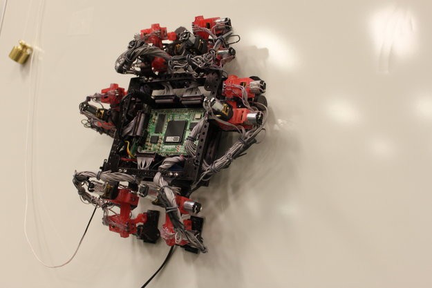 Gecko Inspired Lizard Tested by ESA