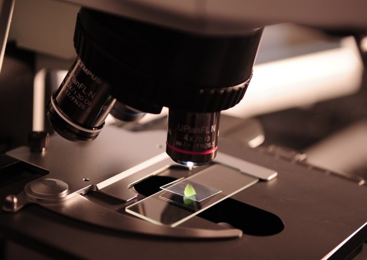 China Is About to Overtake the U.S. in Being the World Leader of Science