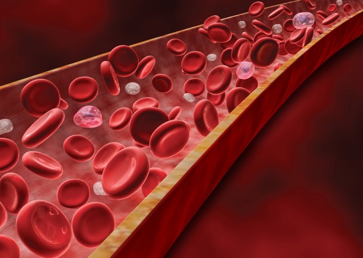 What Makes Our Blood Types Different From Each Other's?