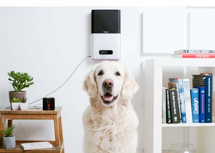 Remote Pet Camera Lets You Play with Your Pet While You're Away