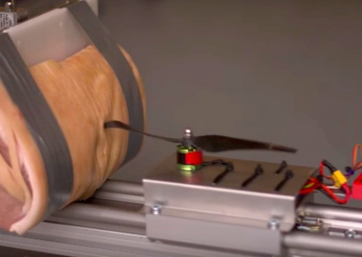Pork Roast Used to Demonstrate Drone Impacts on Humans