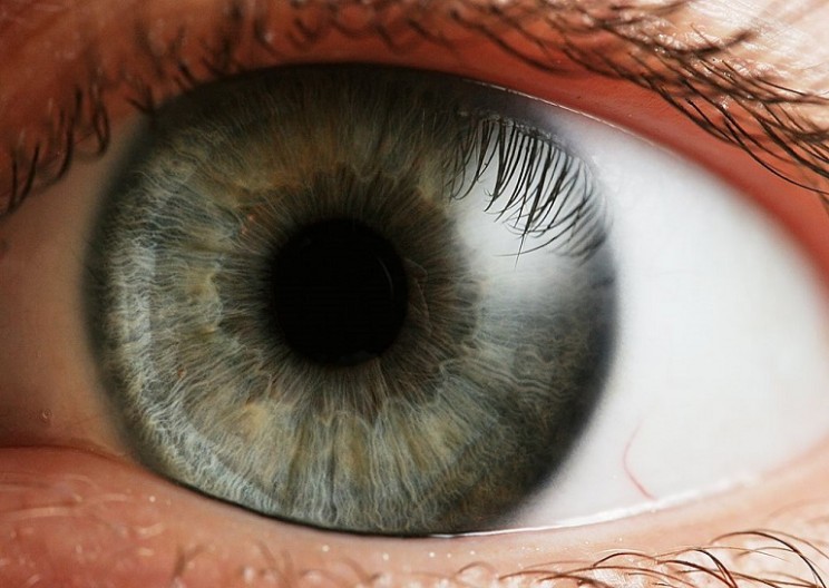 How Do You See?: The Secret of Light