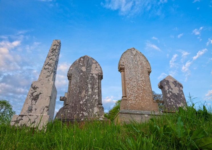 New burial method offers an eco-friendly alternative