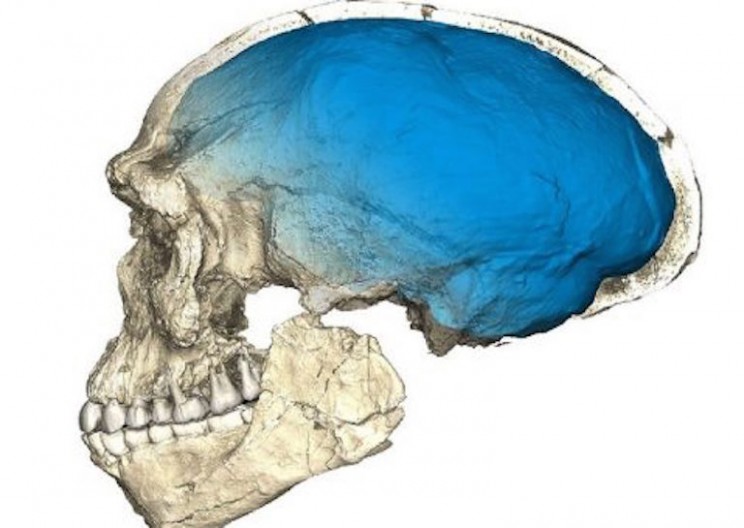 New Discovery of 300,000-Year-Old Homo Sapiens Fossils Rewrites Human History