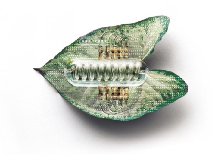 Artificial leaf helps researchers make headway turning photons to fuel