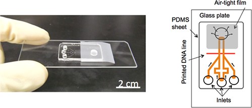 Portable, 20-minute RNA Detection