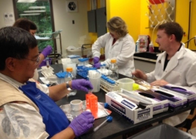 Researchers Say Plant Bacteria Could Provide its Own Salvation