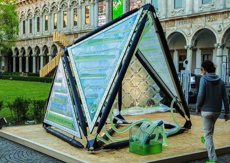 Algae Canopy Generates 4 Hectares Equivalent of Oxygen