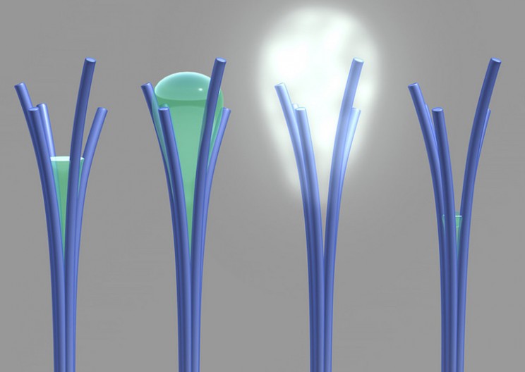 Carbon Nanorods Created That Can Harvest Water From Dry Air