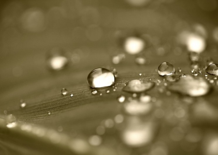 Water Freezes Instead of Boils in Carbon Nanotubes