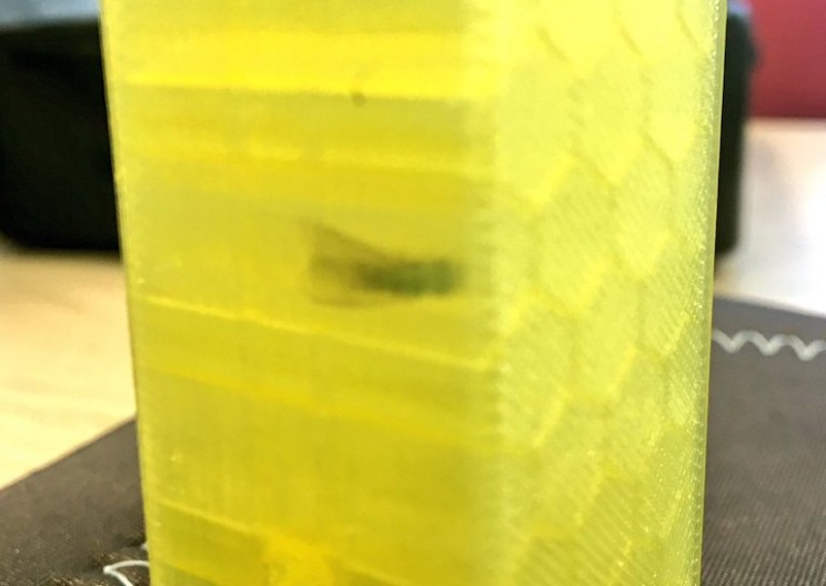 People Think This Fly Trapped in a 3D Printed Model Is a 21st Century Fossil