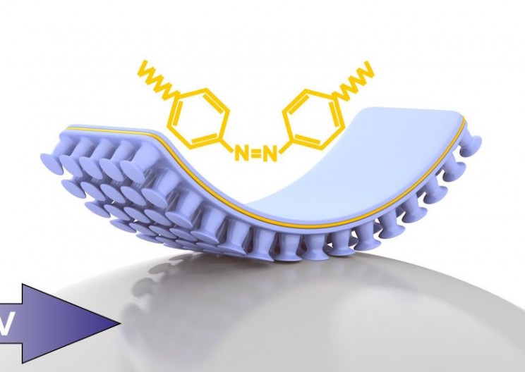 These Light-Actuated Grippers are Inspired by Geckos