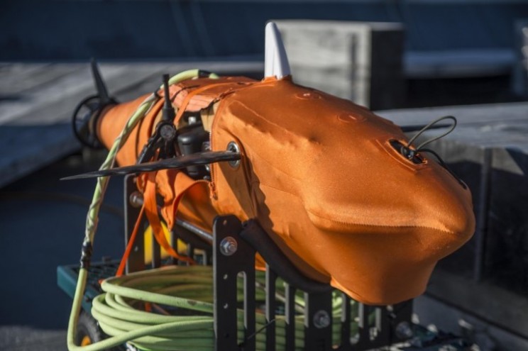 Robotic shark is being tested by US Navy