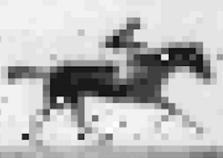 Biologists Upload Galloping Horse GIF into the DNA of Living Bacteria
