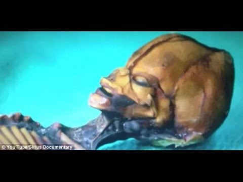 Weird Skeleton From Atacama Desert