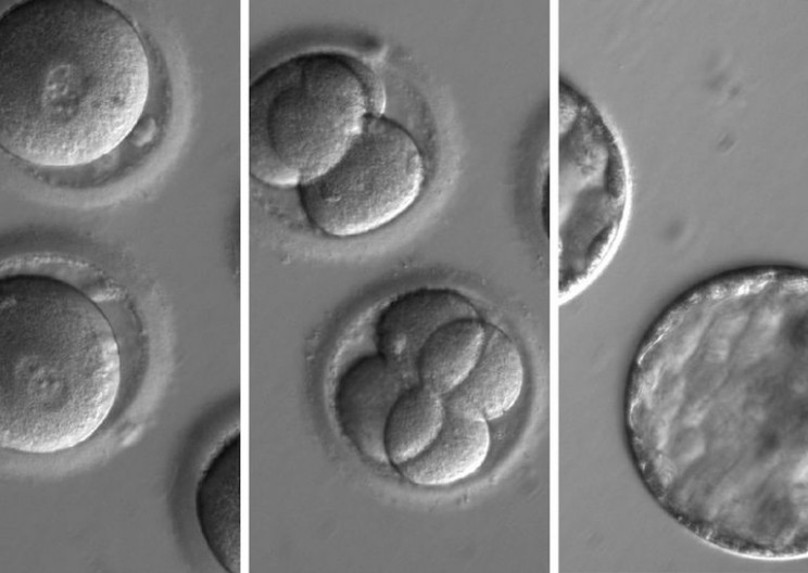 This Breakthrough In Gene-Editing Could Potentially Enhance Humanity's Future