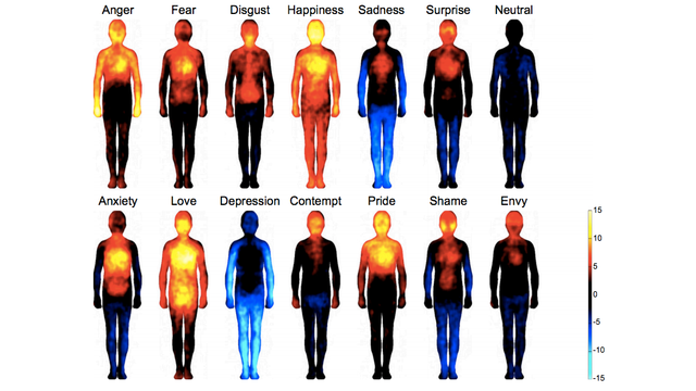 Emotional Atlas Shows Where Each Emotion Affects the Body