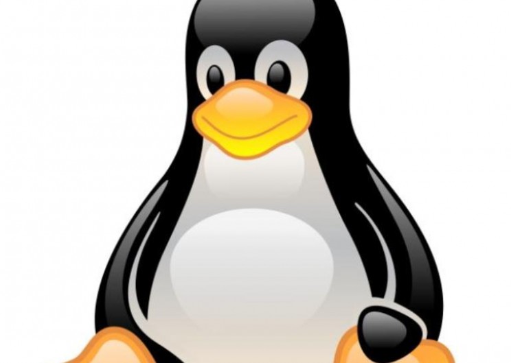 Linux Bug Could Cause Linux Users to be Hacked in Seconds