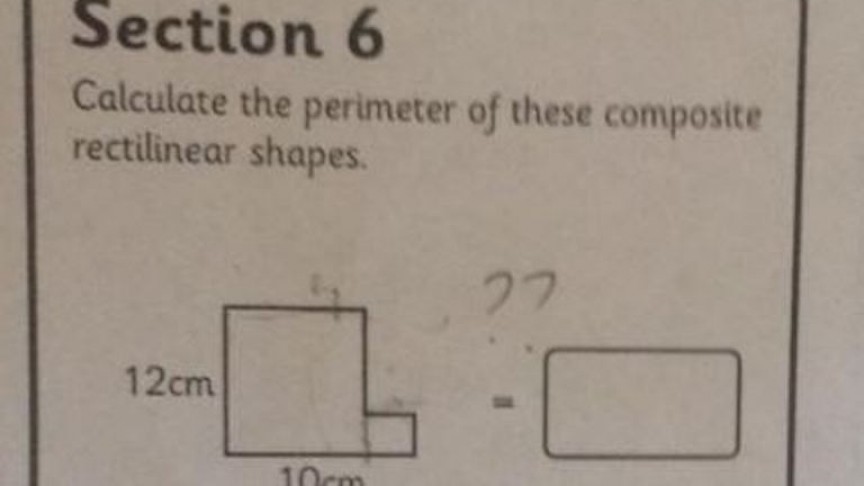 Can You Solve this Math Question for 10-year-olds?