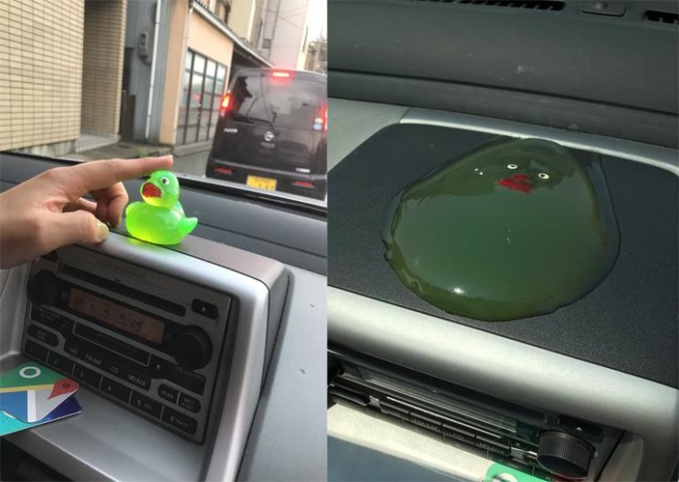 The Internet Is Going Crazy Trying to Solve the Mystery of This Melted Duck Photo