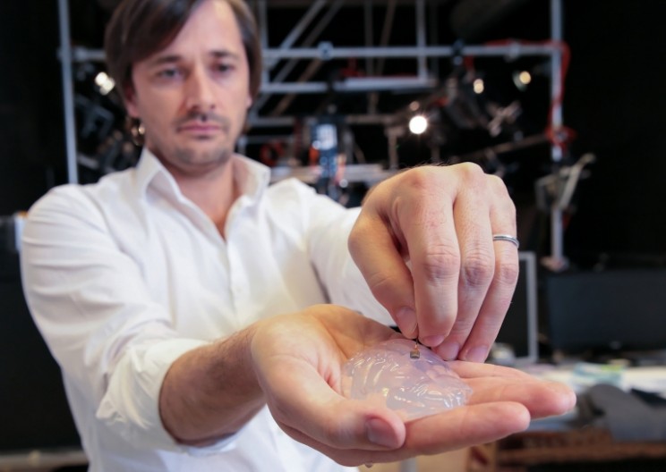 A New Brain Implant Lets Paralyzed Primates Walk Again