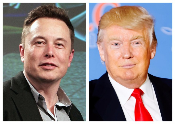 What Elon Musk's Addition to Trump's Advisory Team Means