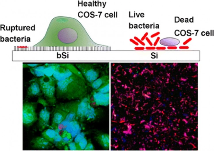 New Nanomaterial Destroys Bacteria