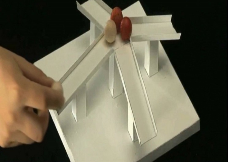 Wait what? This optical illusion will leave you scratching the back of your head