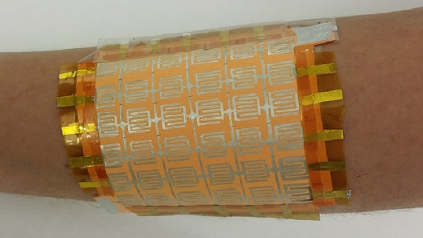 Human skin shedding facts image